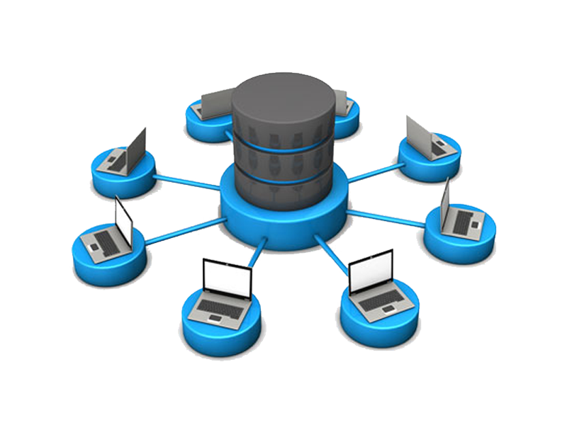 Database Management System (DBMS)